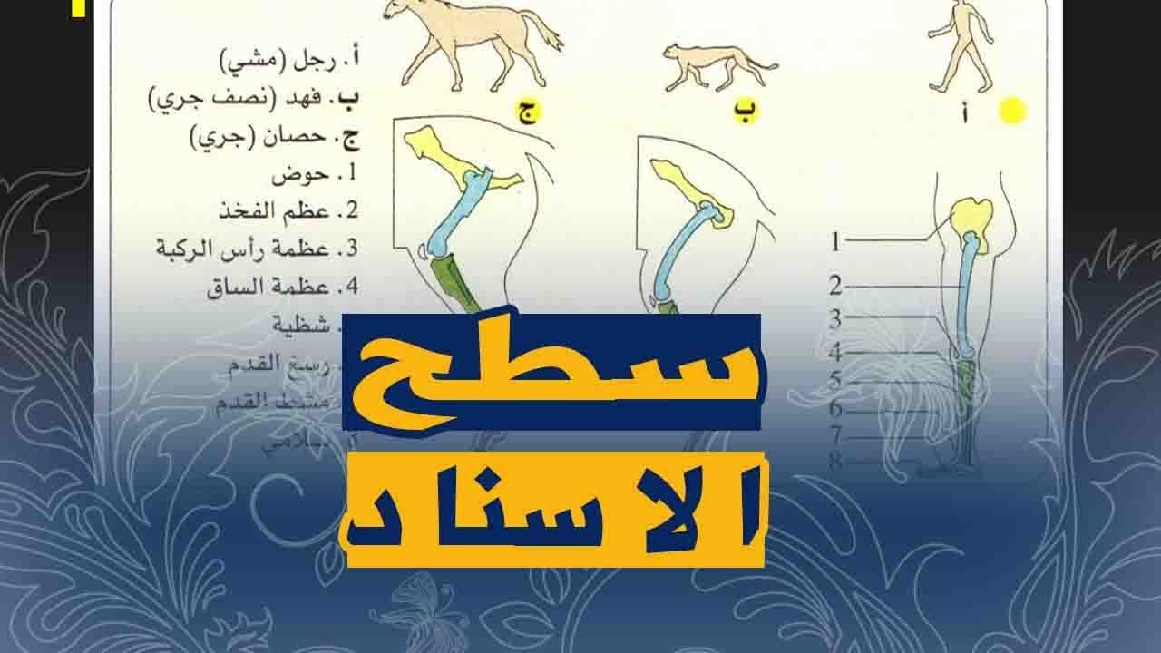 الدرس 23:علوم طبيعية السنة الثانية متوسط تحليل بعض انماط التنقل
