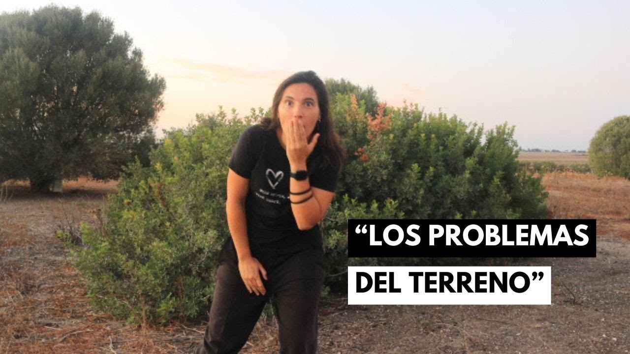 Las 3 razones por las que elegí este terreno... 