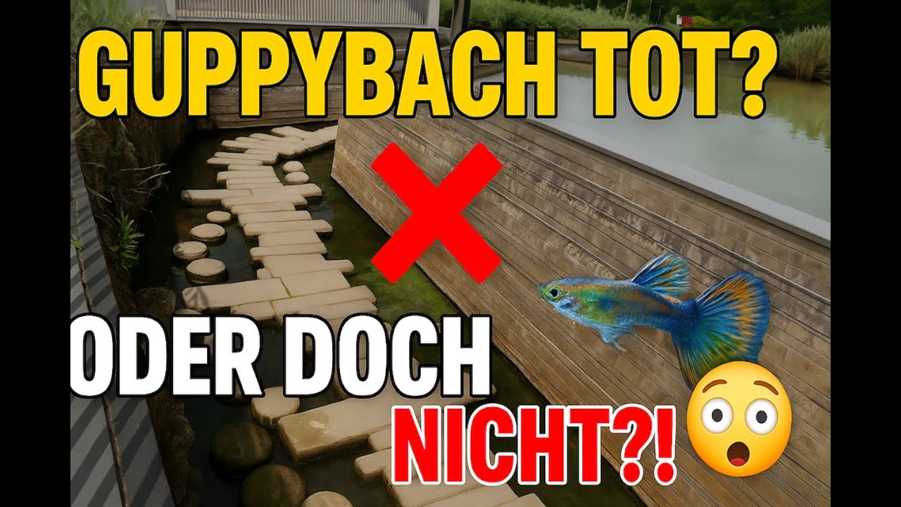 Guppybach ohne Fische? Was ich entdeckt habe, hätte niemand erwartet!