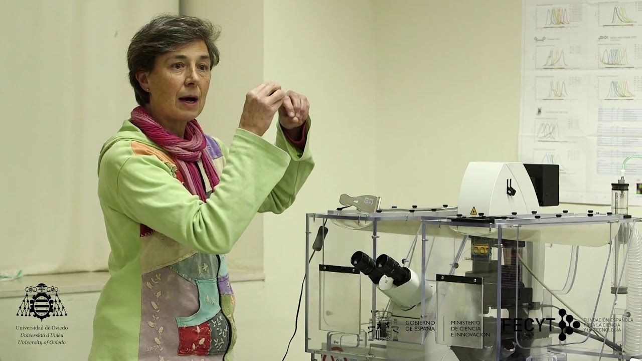 Microscopía láser confocal y la cuarta dimensión