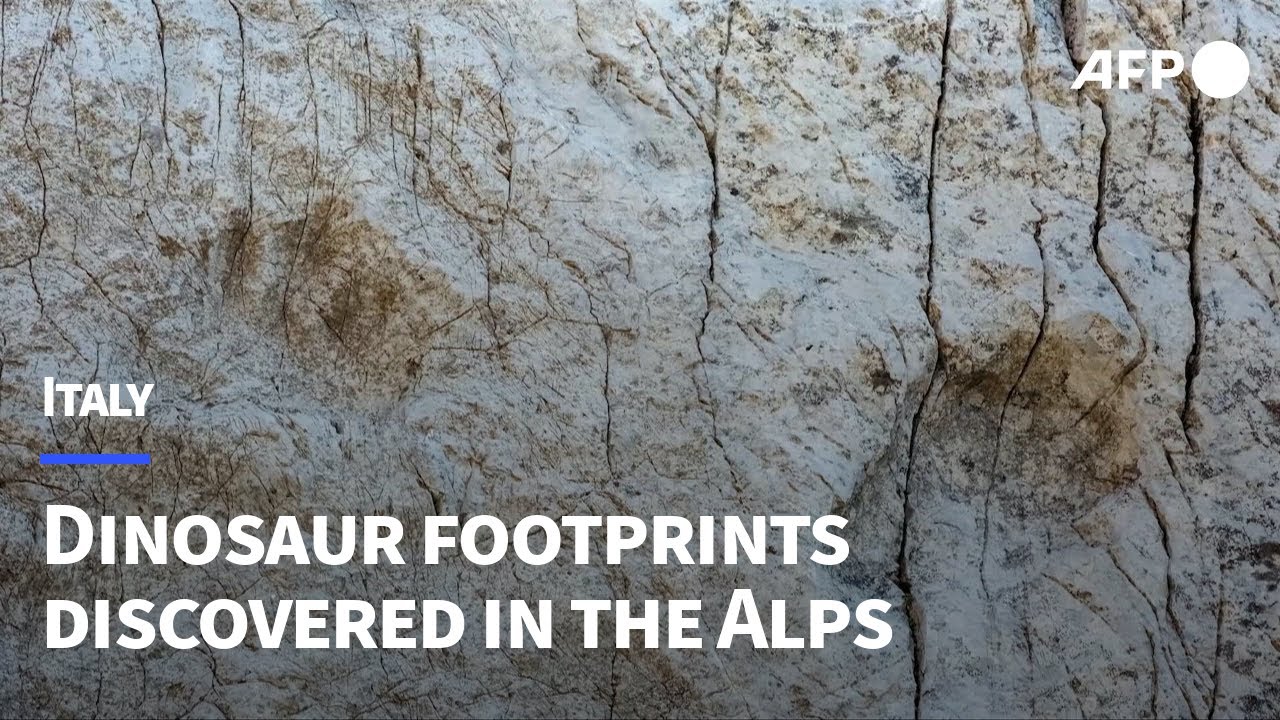 210-million-year-old dinosaur footprints discovered in the Italian Alps | AFP