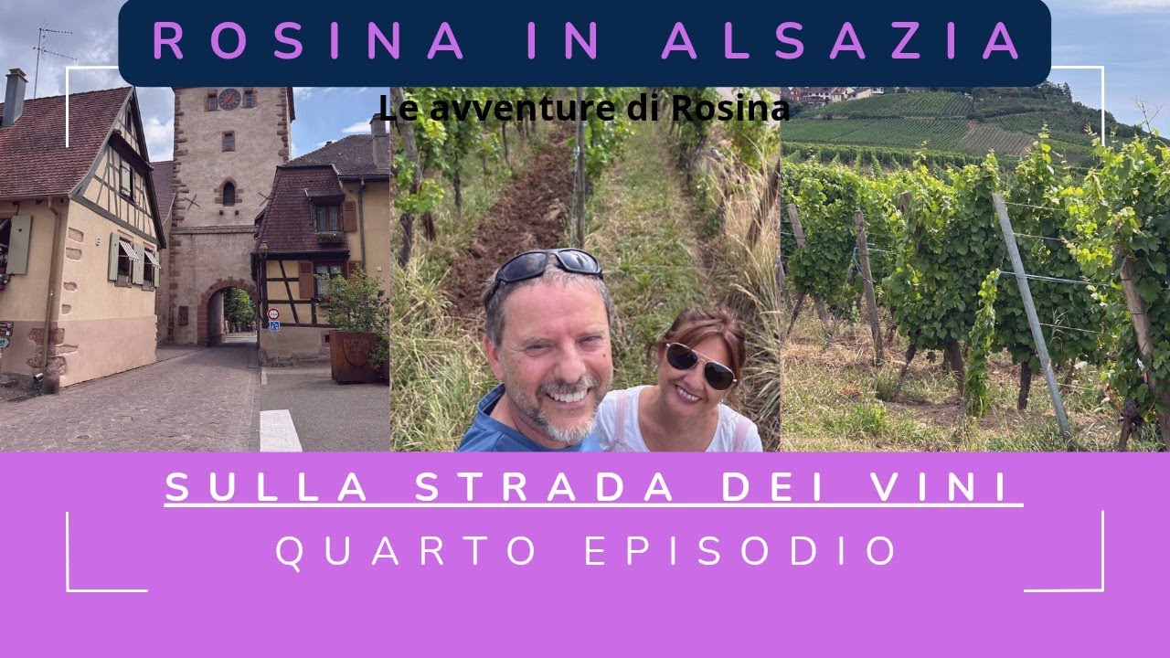 Rosina in Alsazia - Quarto episodio - Lungo la strada dei vini