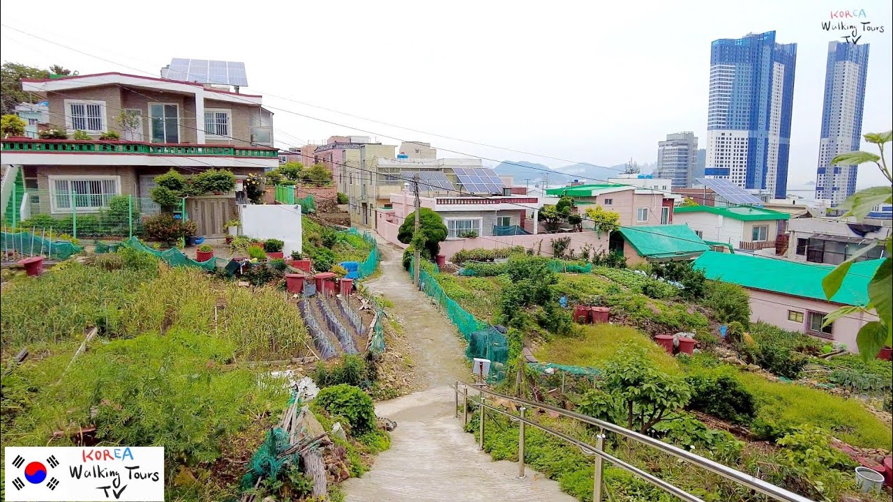 Пешеходная экскурсия по Корее [4K] От автовокзала Тэджонгдэ до порта Хари | Пусан, Южная Корея