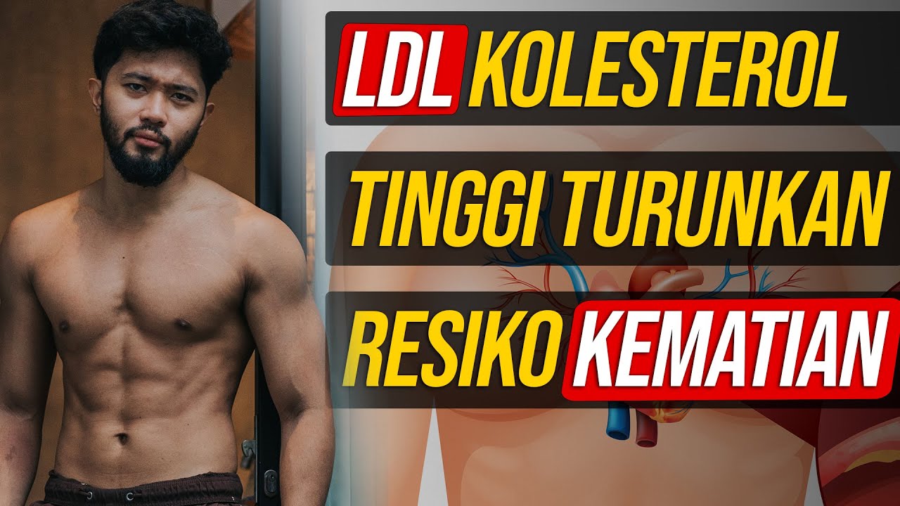 TONTON INI UNTUK TERBEBAS DARI PENYAKIT JANTUNG - LDL KOLESTEROL TINGGI = SEHAT? STUDI BARU 2024