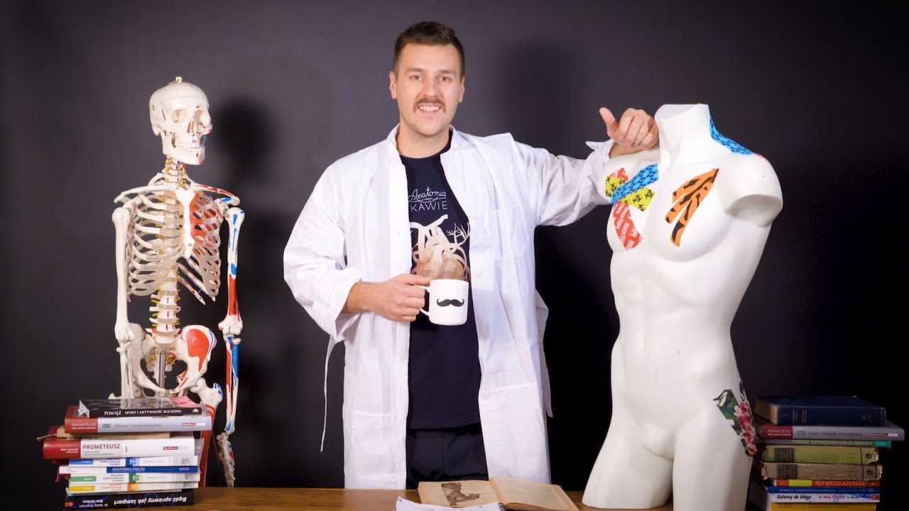 💀☕ Mięsień piersiowy większy i mniejszy - schemat przebiegu | Anatomia Przy Kawie #5