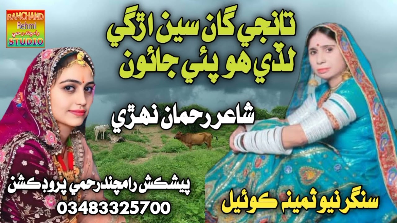 تانجي گان سين اڙگي لڏي هون پئي جائون singr new samina koyal marwadi new hit song
