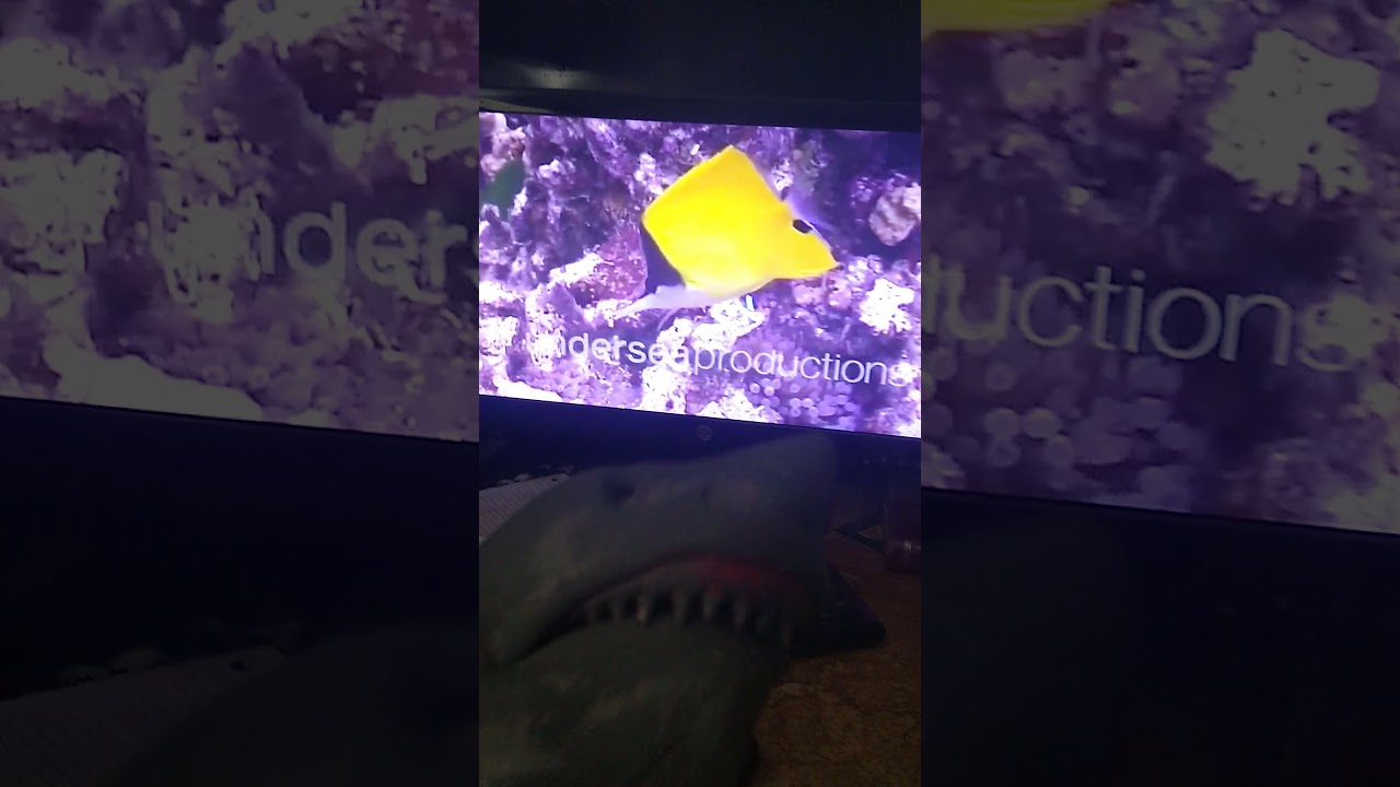 Shark puppet 🦈 react to Finding Nemo Live Action remake part 2 and 3  Nemo' first day at school 🏫
