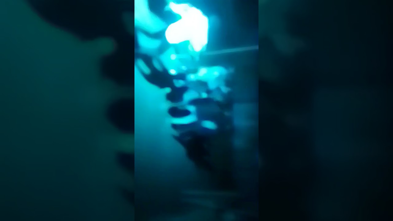 Parti ooooo