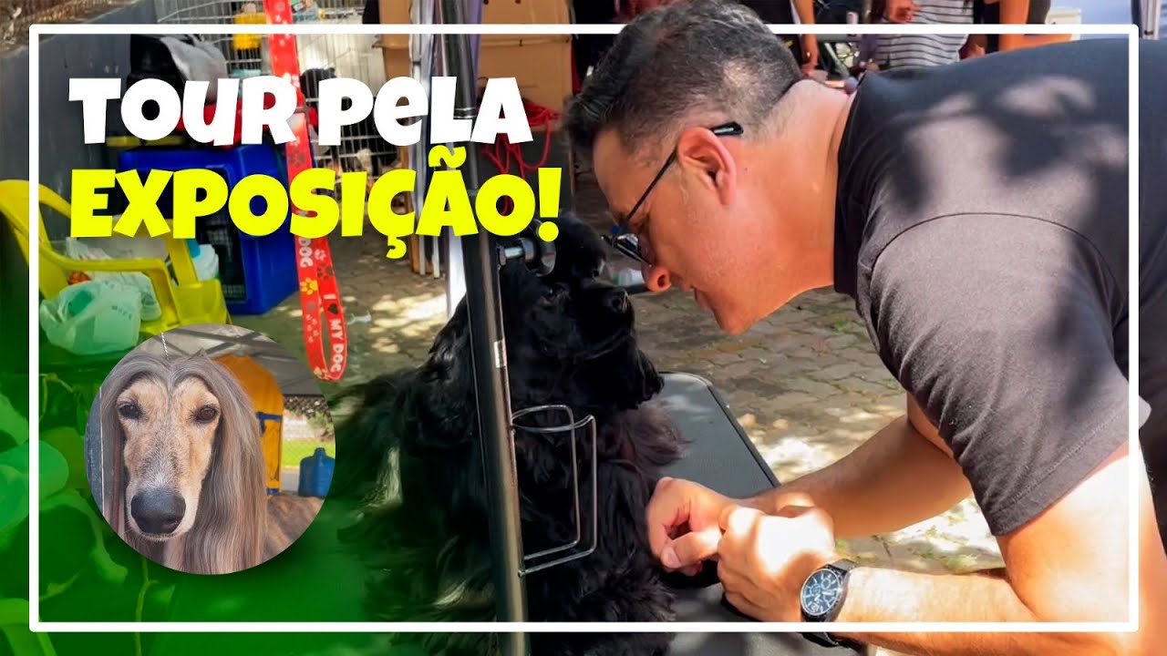 CINOBRAS NA EXPOSIÇÃO DE CÃES! - Cinobras TV