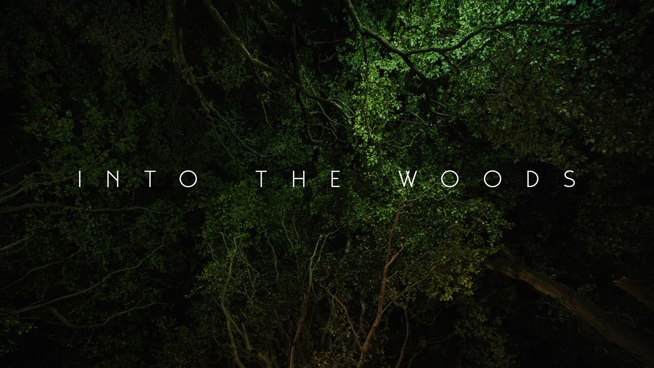 Into the Woods | creating the illusion of motion with light painting in photography