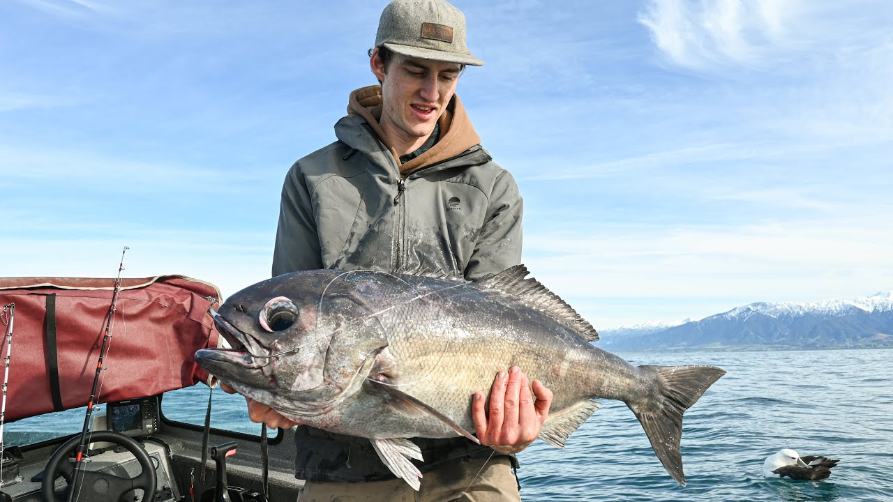 Deep Dropping for Bluenose off the Mighty Kaikoura