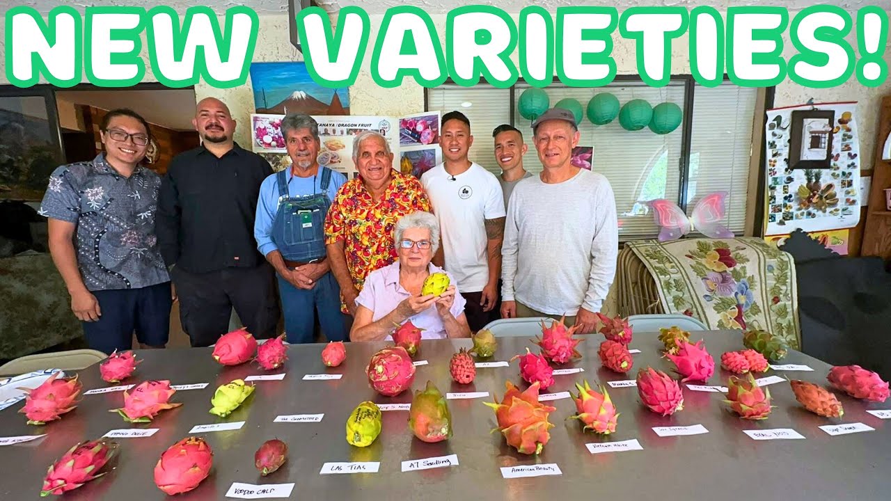 Part 1: We TASTED OVER 30 Dragon Fruit VARIETIES! RARE & NEW HYBRIDS