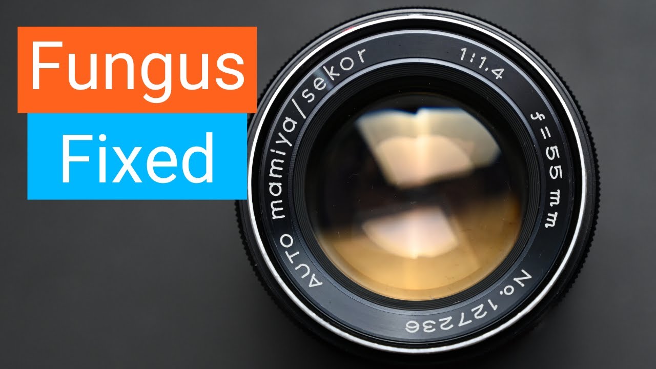 How to Remove Fungus From a Mamiya/Sekor Lens