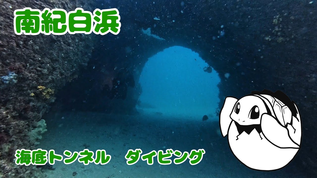 【水中動画】南紀白浜_海底トンネル