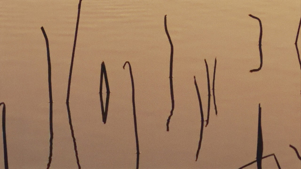 The Sounds of Ninh Binh | Film Emulation (Cineprint 35)
