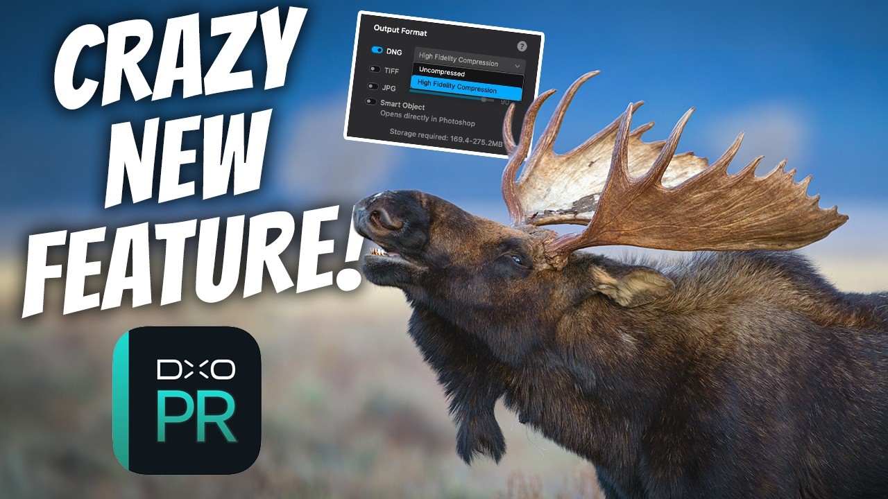 DxO PureRAW 6 — стоит ли обновляться?
