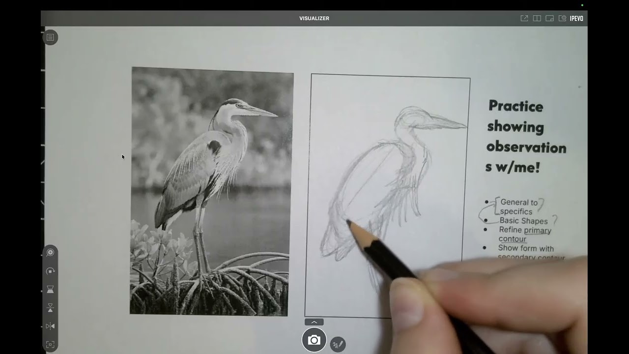Drawing from a Reference