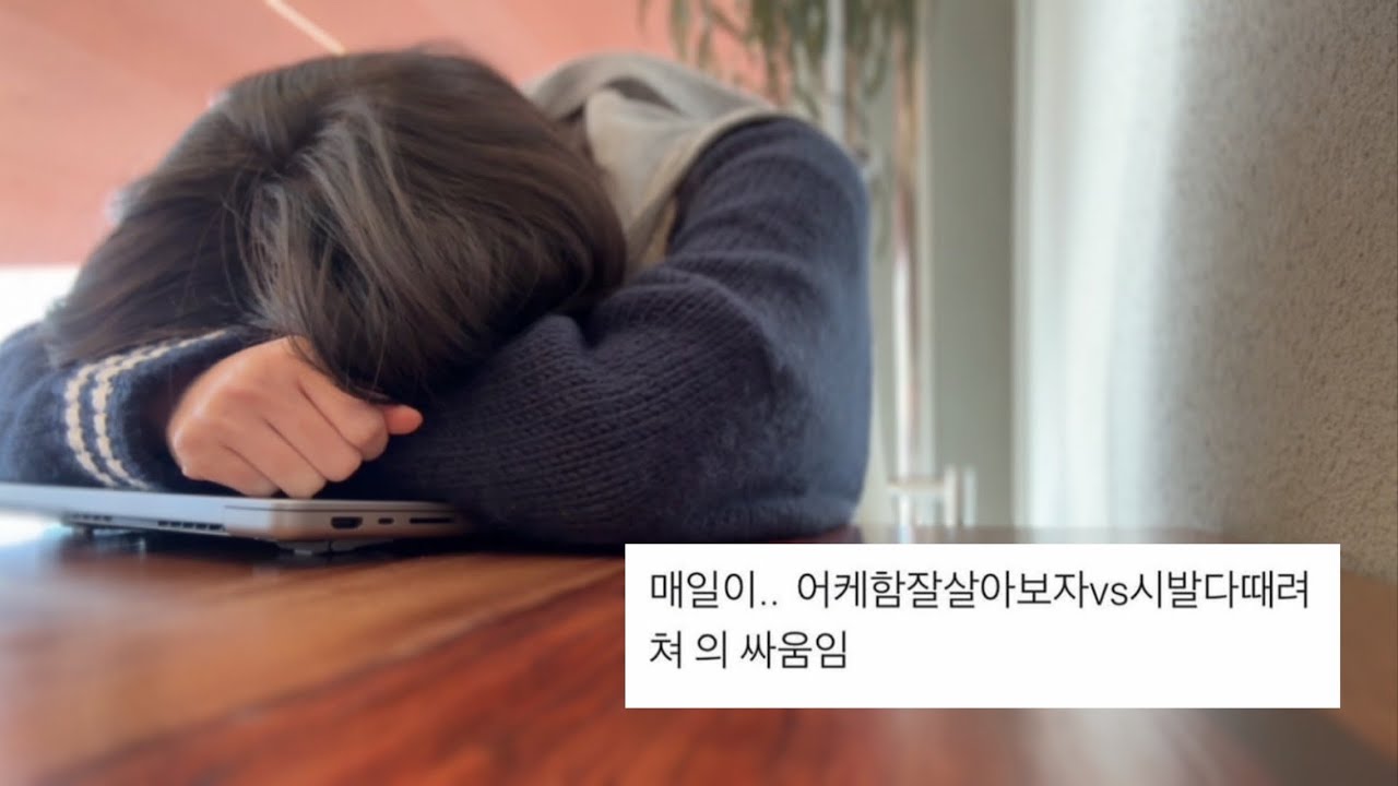 1인개발자로 앱 출시하며 느낀 점. 어플 심사과정과 결과, 지코바폭주, 사무실 필수템 소개
