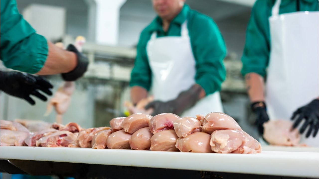 Curso a Distância Processamento de Carne de Frango CPT