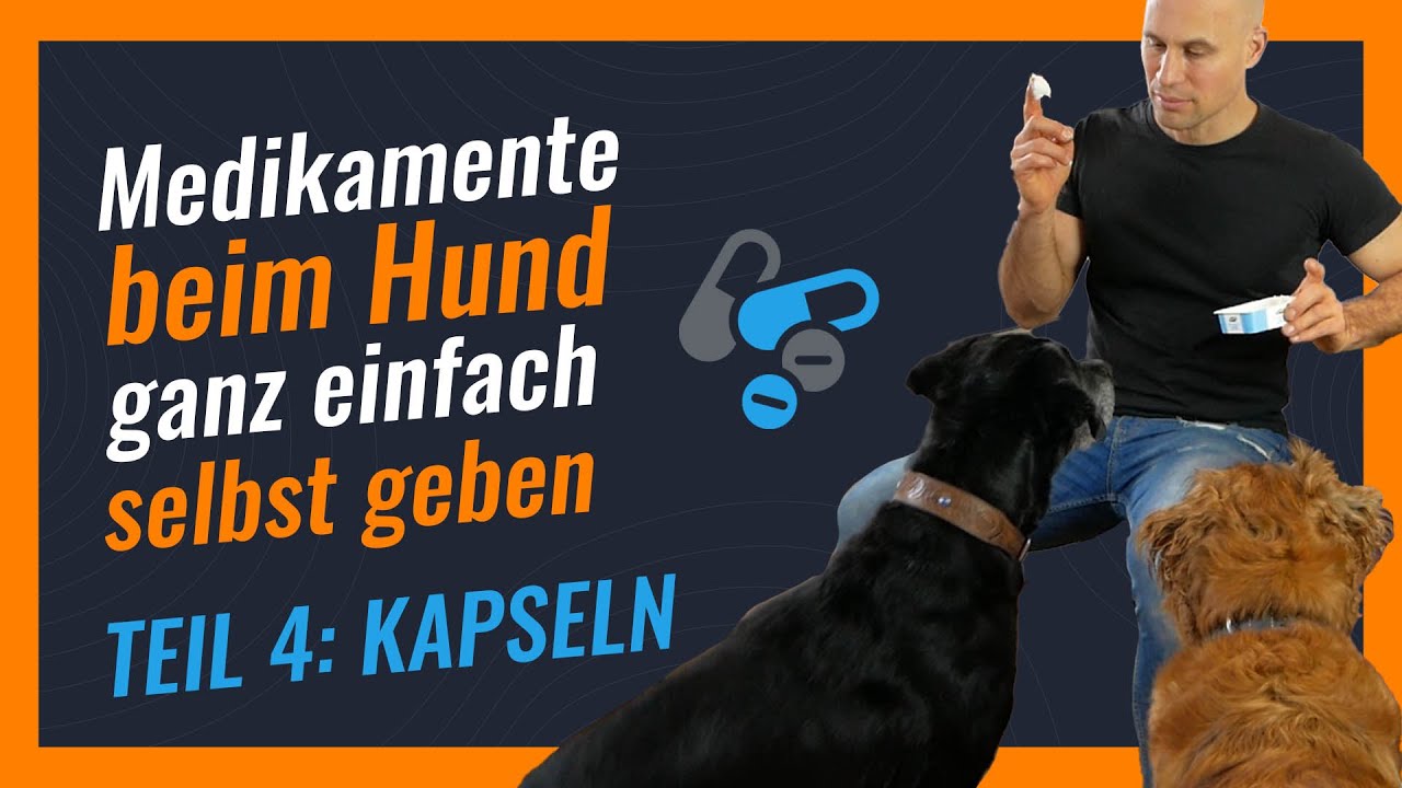 Medikamente für Hunde | Teil 4 | Kapseln & Tabletten geben leicht gemacht