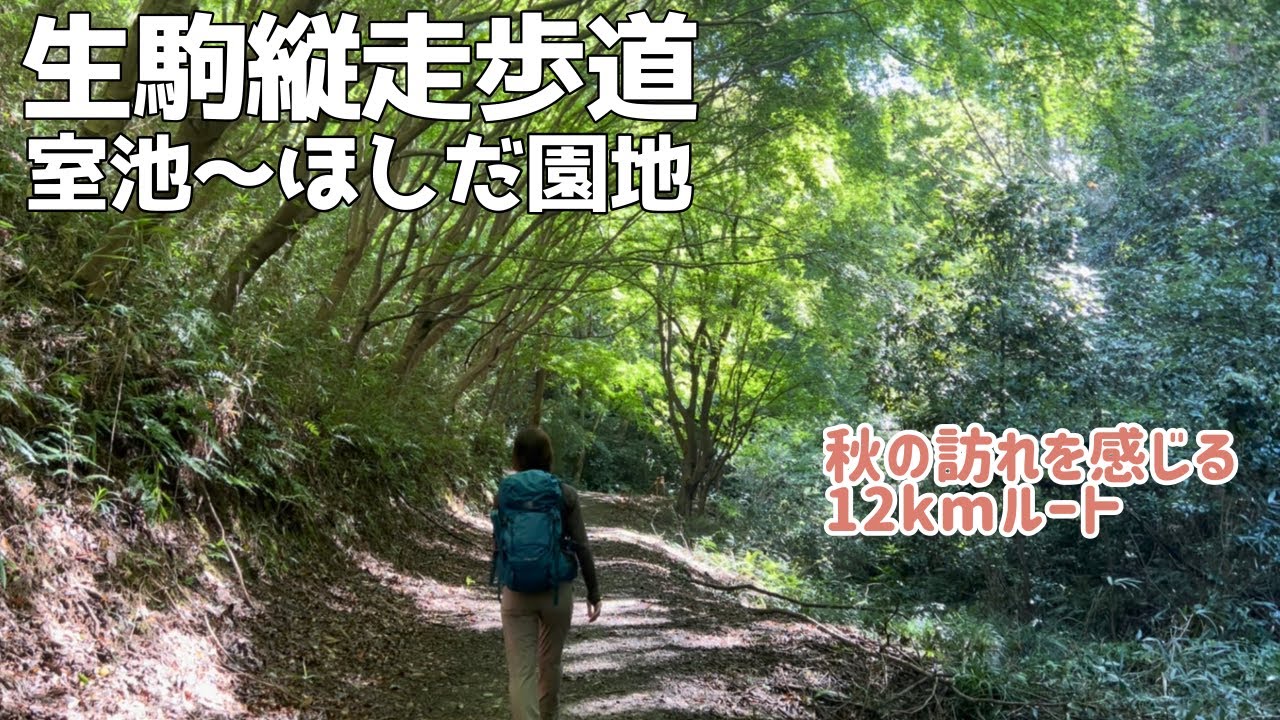 【夫婦登山】生駒山系 生駒縦走歩道ルートつなぎ！むろいけ園地から星田連山〜ほしだ園地へ【公共交通機関登山】