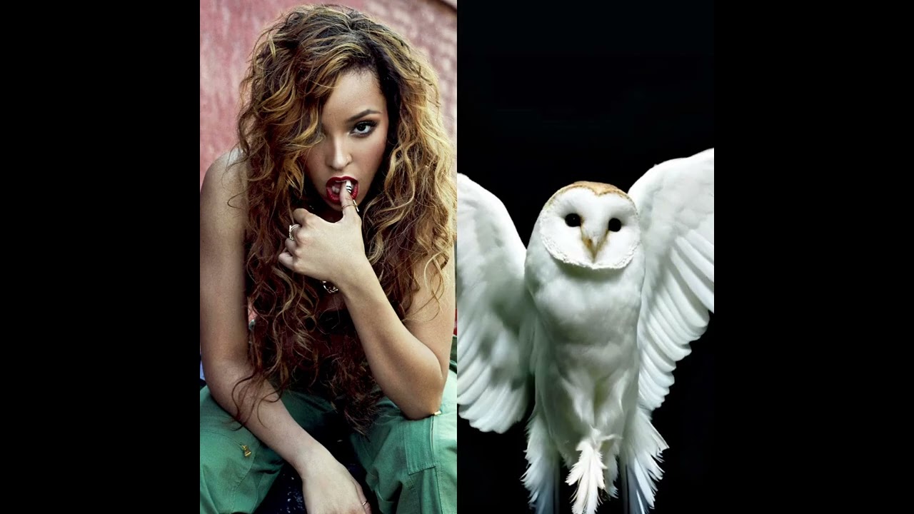 All Hands on Deck x Sextape