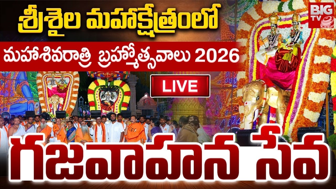 Srisailam Maha Sivaratri Bramhostavalu 2026 Live | గజ వాహనంపై శ్రీశైల మల్లన్న | BIG TV