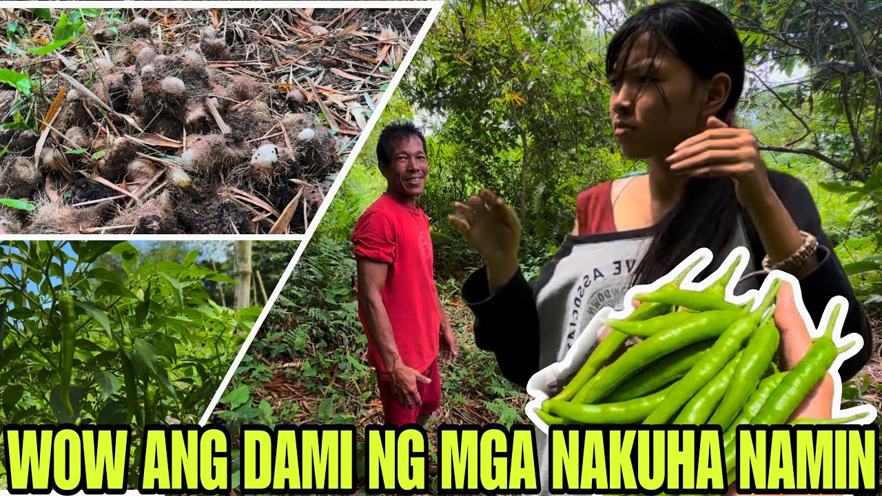 MAY PANIBAGO KAMING INANI