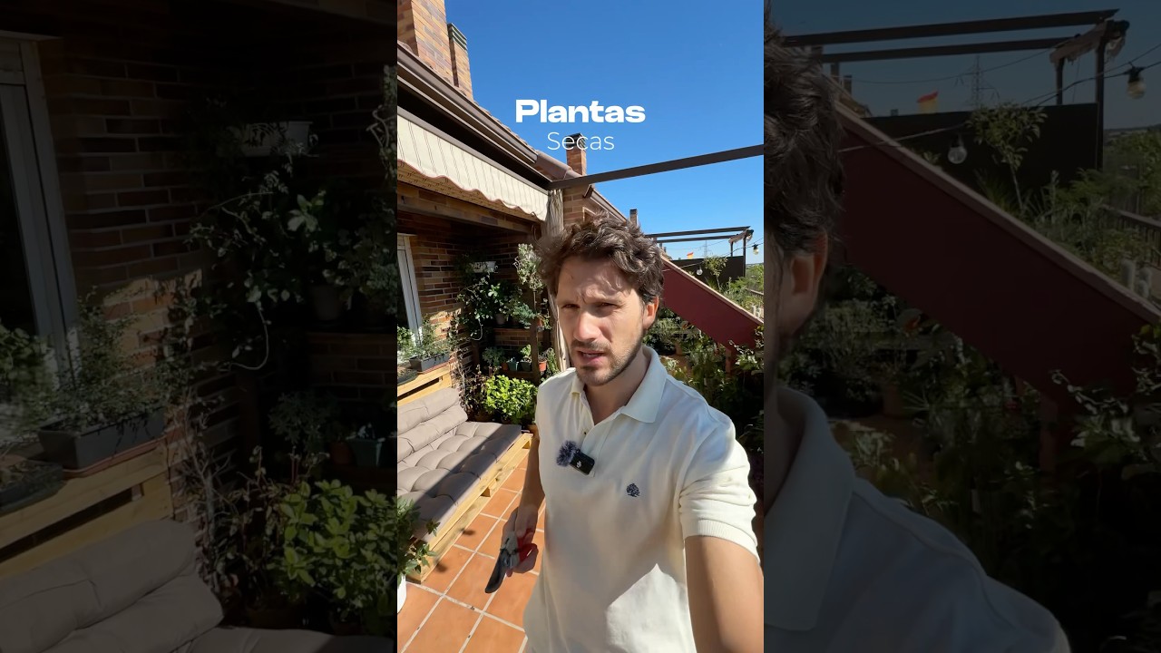 RECUPERAR PLANTAS SECAS 🍂