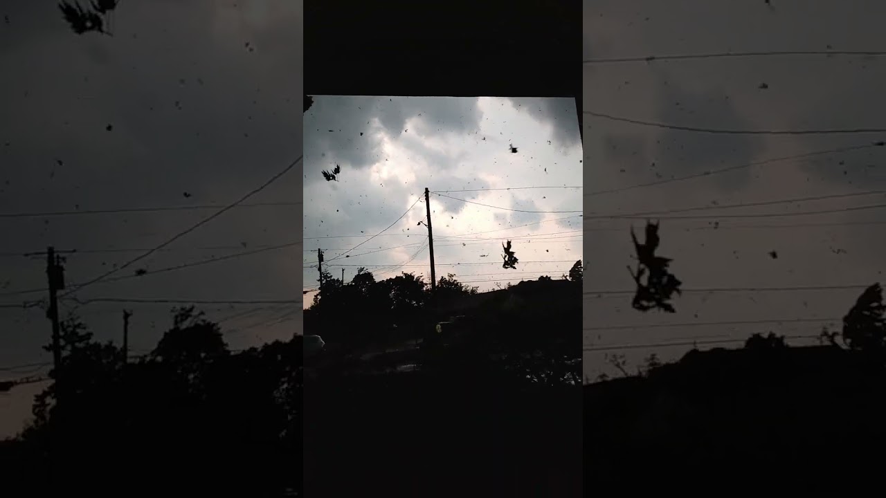 Point Place Tornado hitting my house. 6/15/23