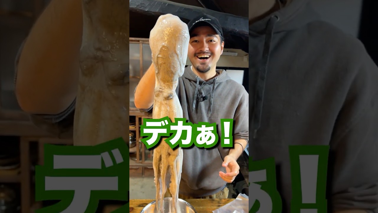 天然巨大タコの美味しい食べ方を料理人が紹介します！