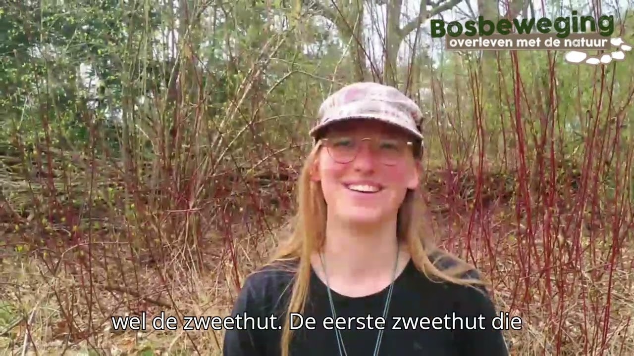 maartje review jaaropleiding