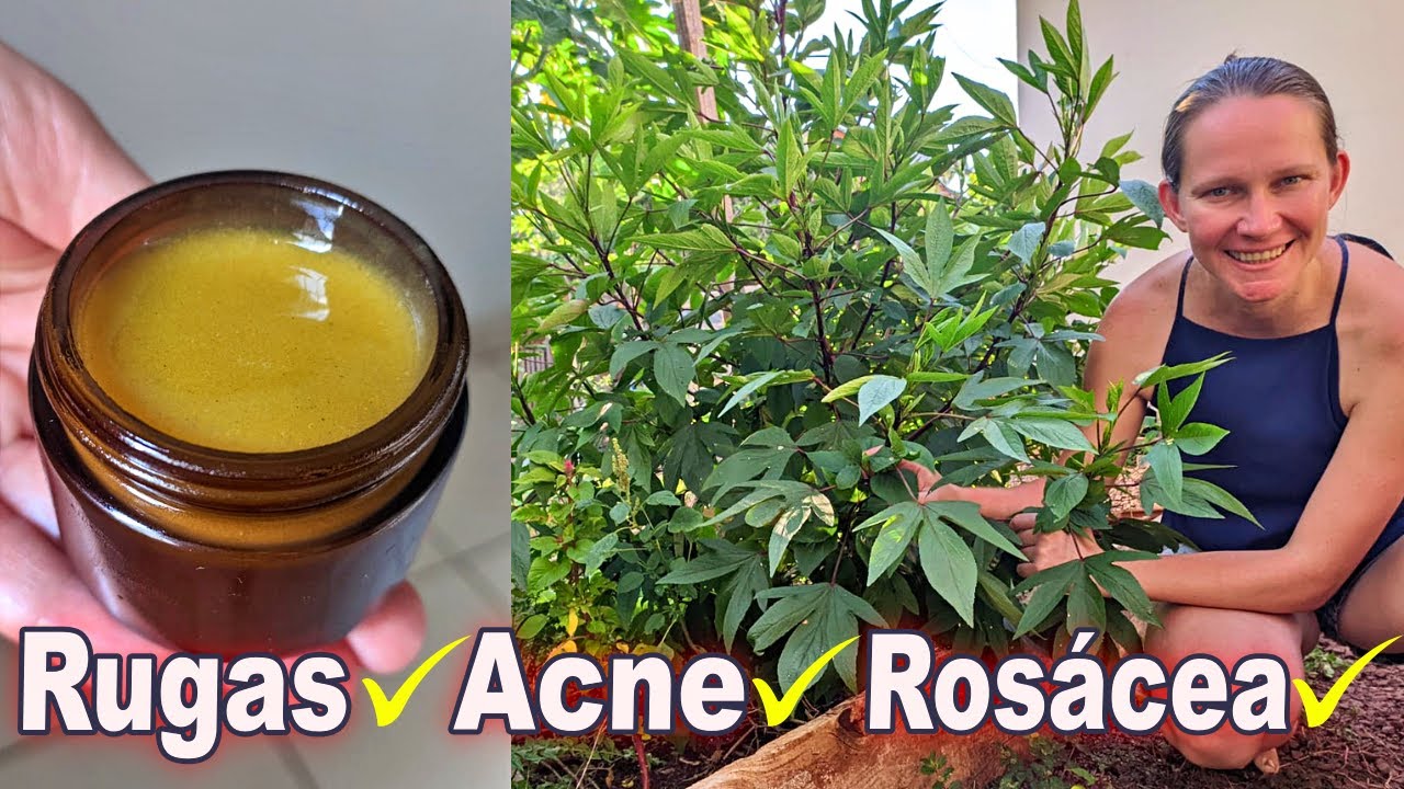 Гибискус – эффективен при лечении прыщей, морщин и всех типов КОЖИ 🌱 100% натуральный.