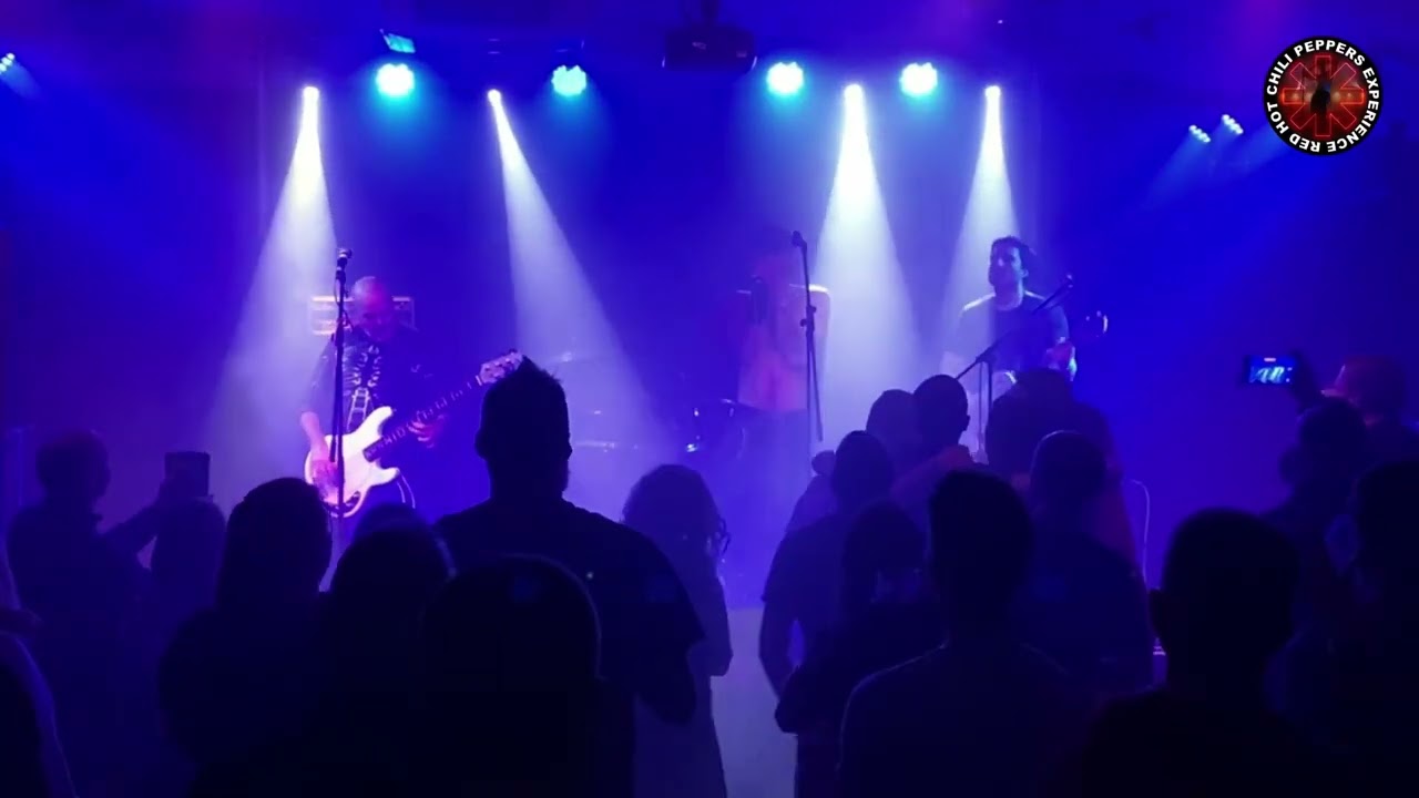 Red Hot Chili Peppers Experience - Califonication (Live at The Northcourt in Abingdon)