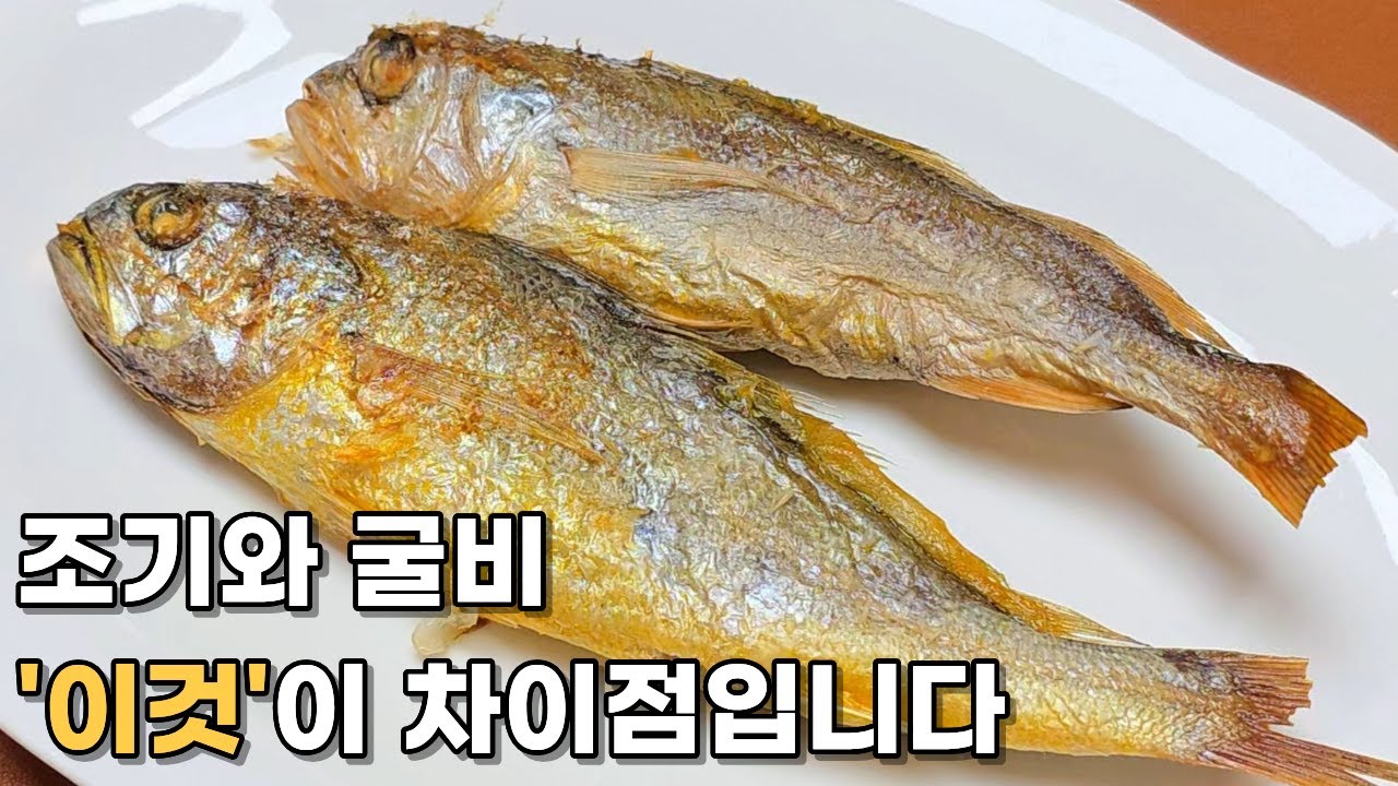 조기 굴비 차이점 굴비와 보리굴비의 유래 참조기 부세 차이
