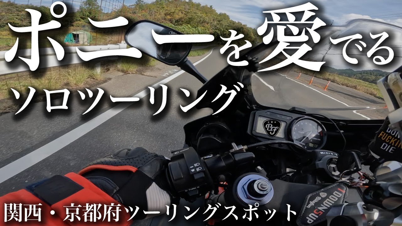 バイクでポニーを愛でながら飯を食うソロツーリング【関西・京都府ツーリングおすすめスポット】#motovlog #touring