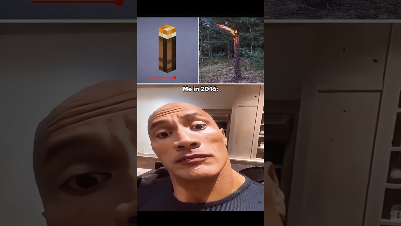 Me in 2016 | meme