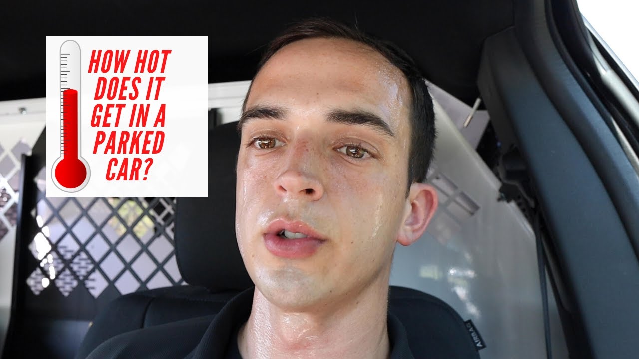 How Hot Does it Get in a Parked Car?
