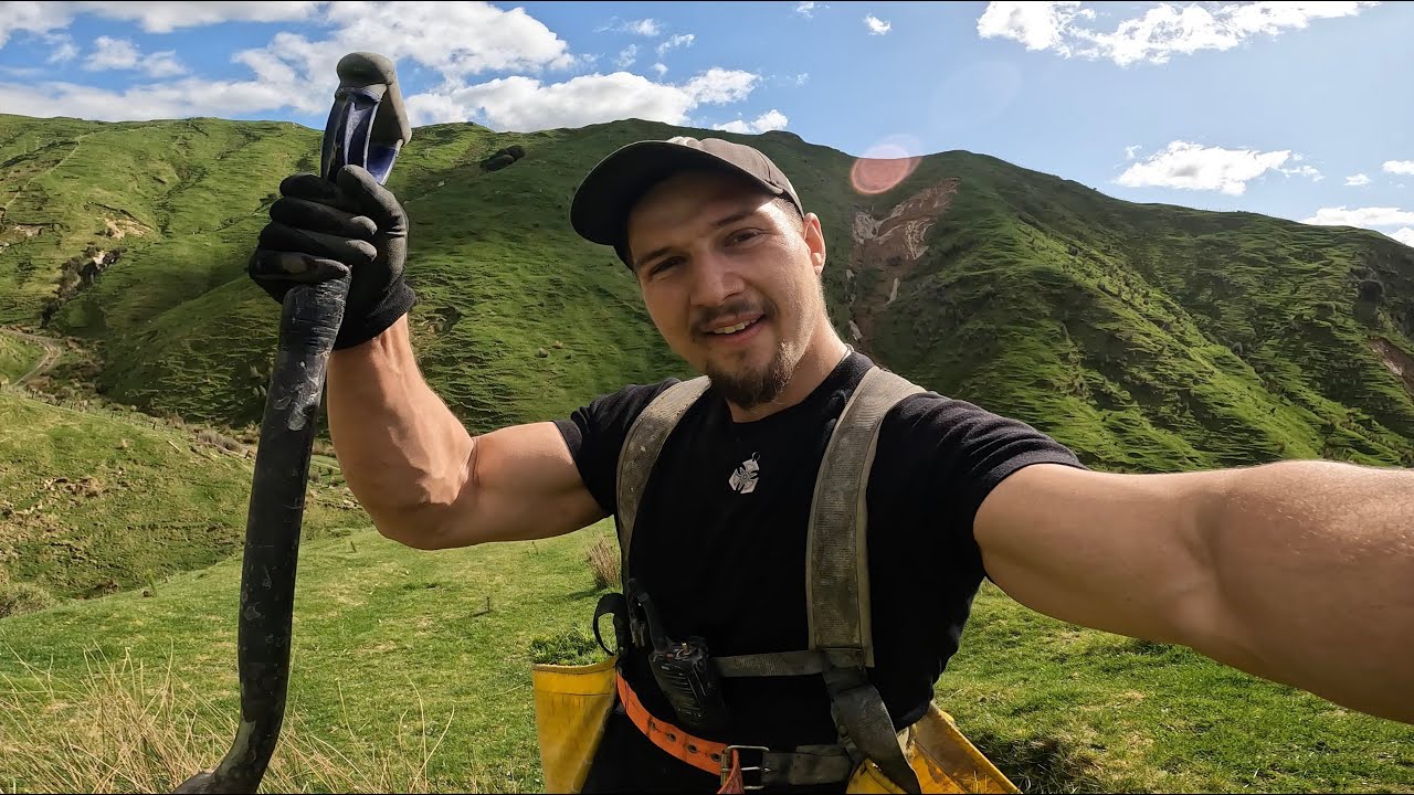 Šílená práce na Novém Zélandu! Sázení stromků - VLOG