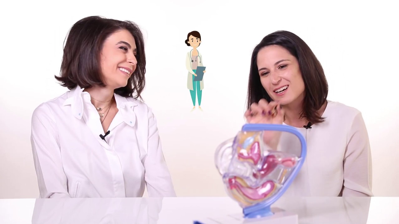 الجهاز التناسلي عند المرأة