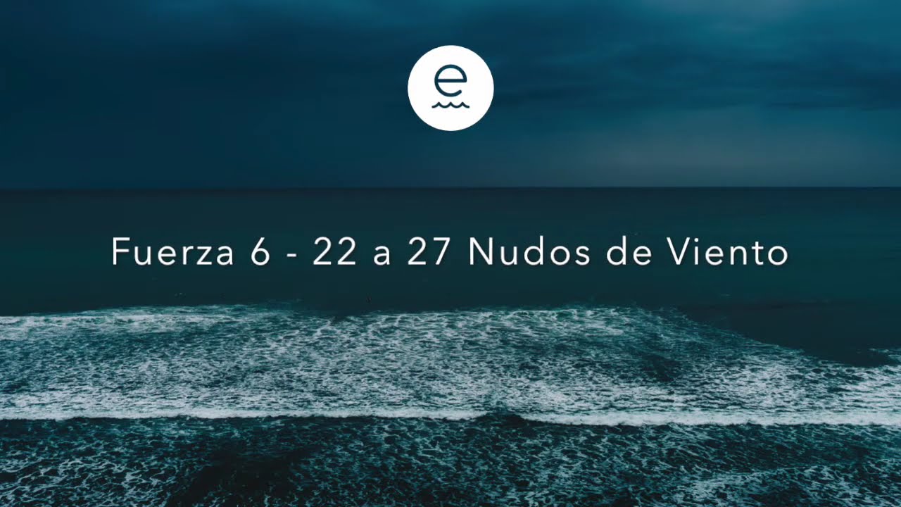 La fuerza del viento | Fundación Ecomar