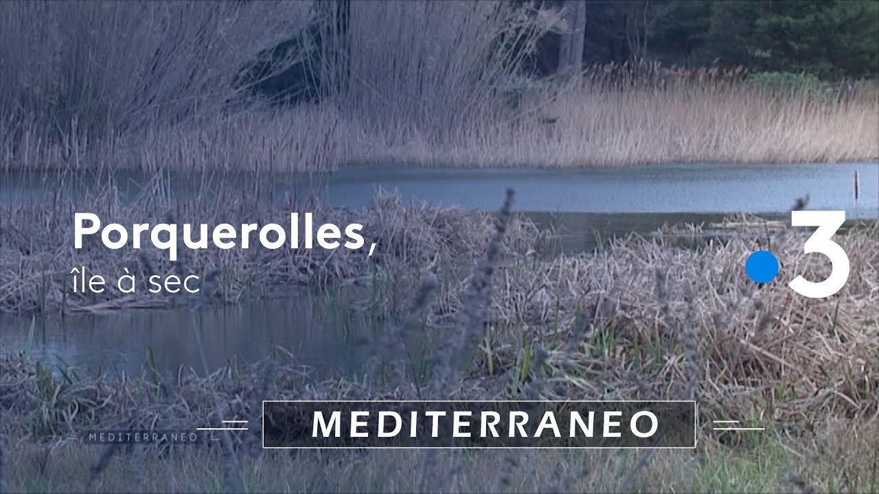 Porquerolles, une île à sec