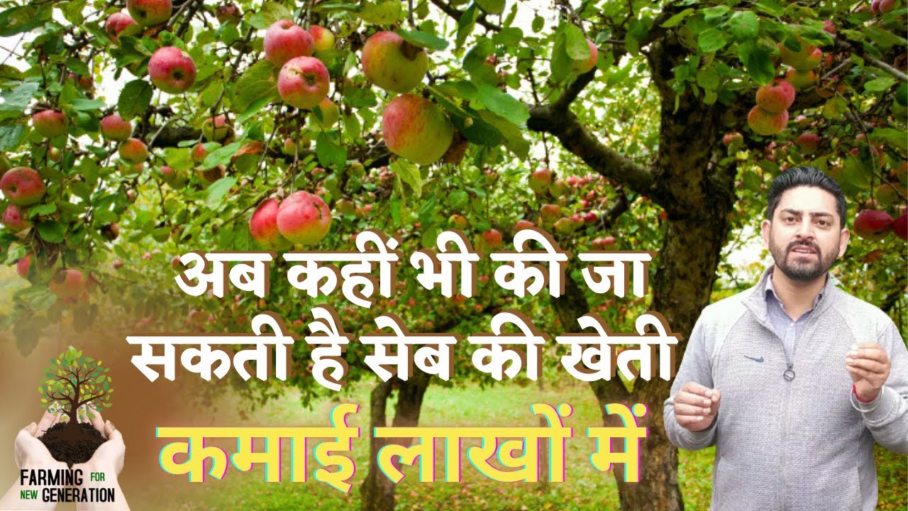 Hariman 99 Apple: अब सेब की खेती हुई आसान,भारत में कहीं भी लगा सकते है | Farming for New Generation