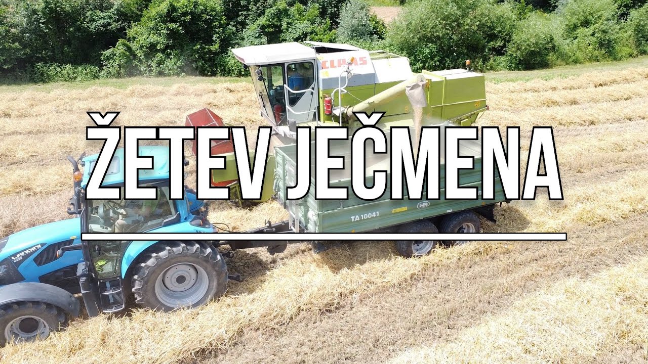 Žetev ječmena 2024 (claas)🌾