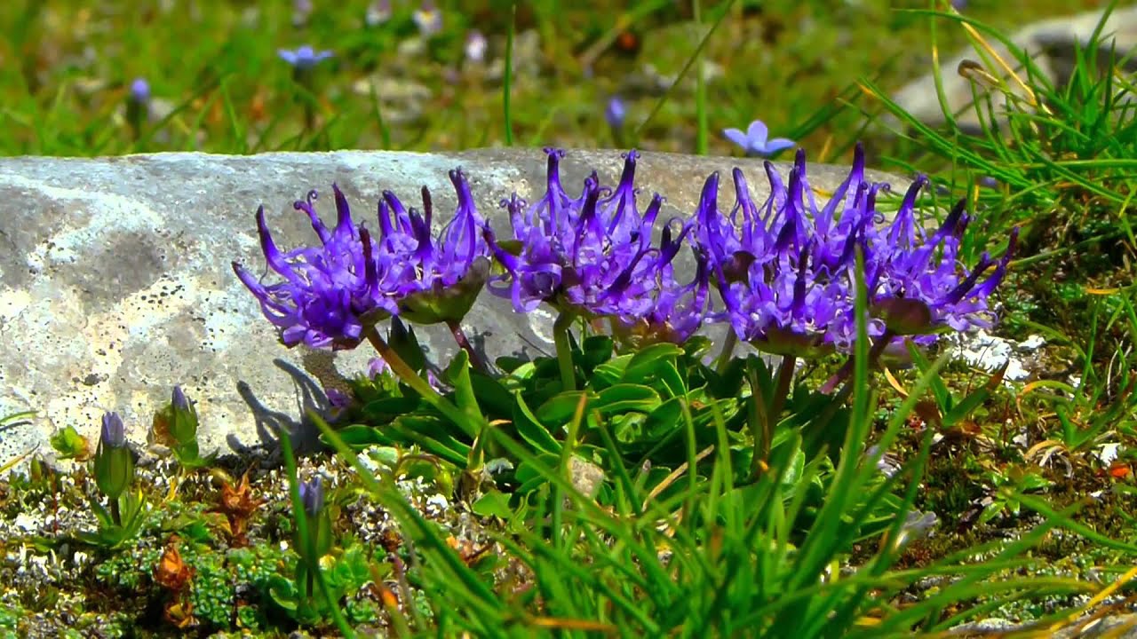 Nationalpark Hohe Tauern