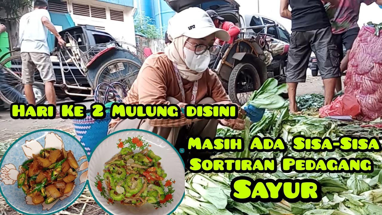 Hari ke 2 Mulung disini || Masih ada sisa-sisa Sortiran Pedagang Sayur ‼️ 😍🤩