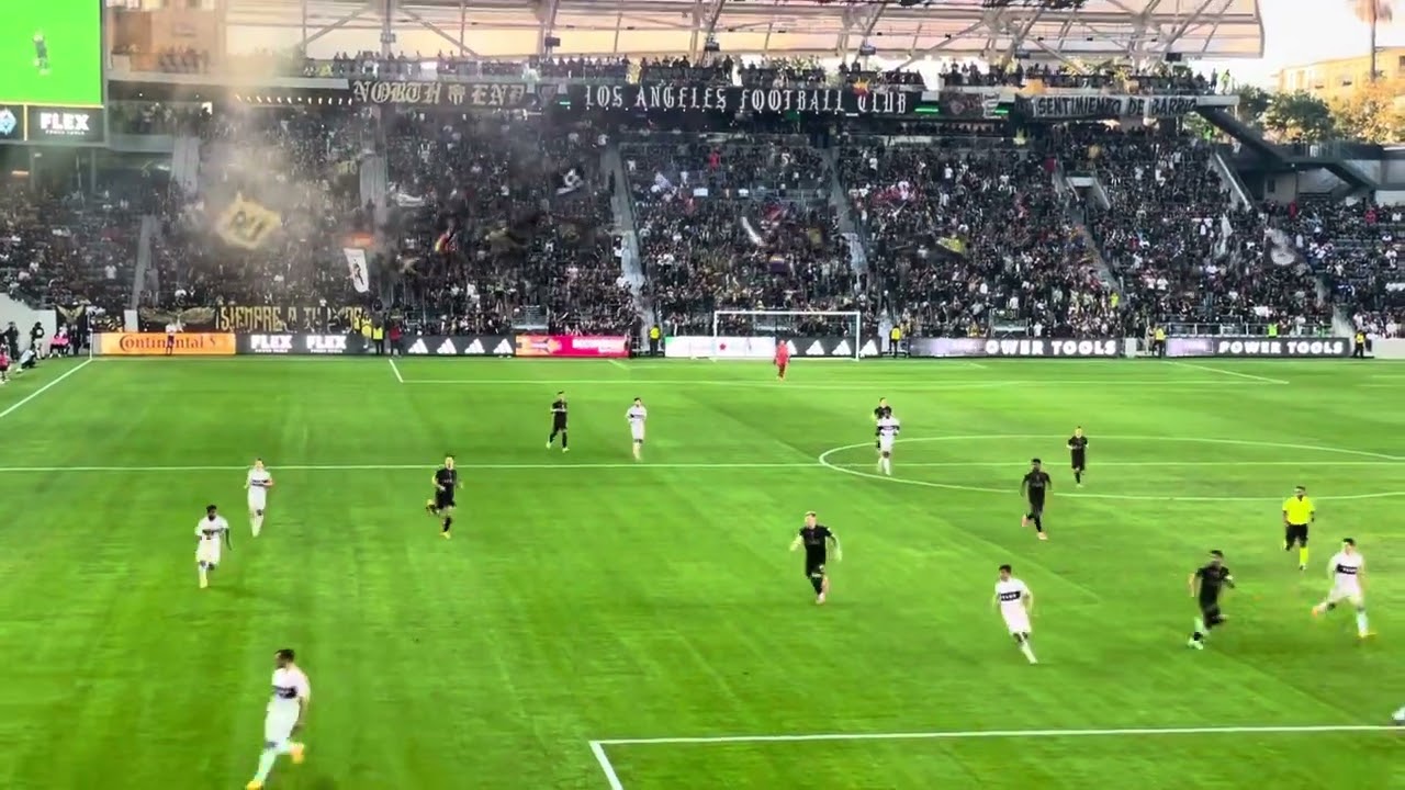 LAFC 3252 (dale black and gold ) crazy !