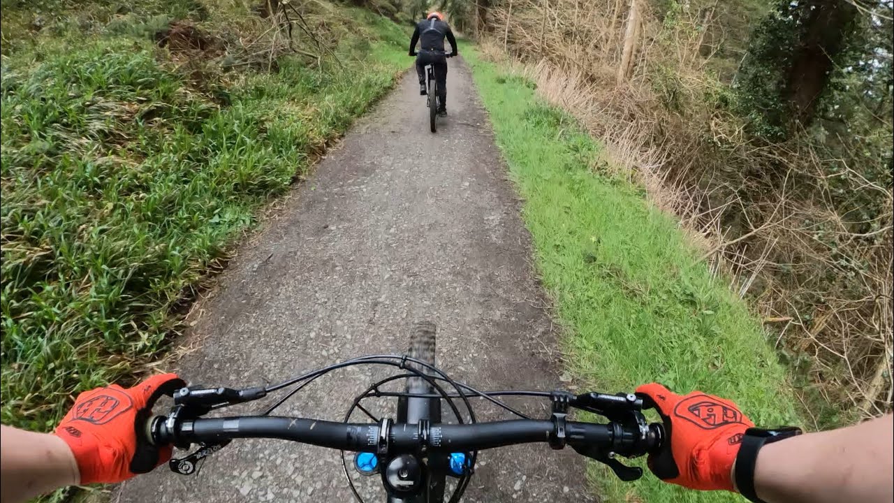 Bins 3 Rostrevor MTB Trails