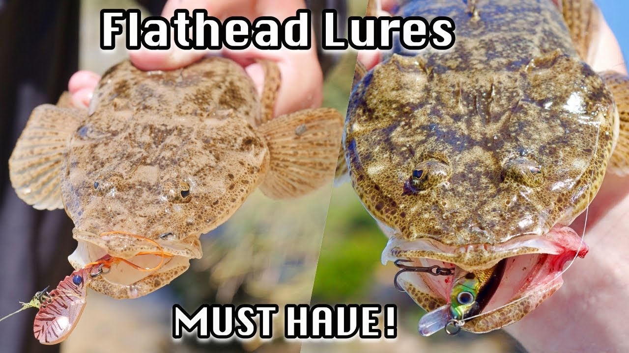 Приманки Flathead, которые вам НУЖНЫ этим летом!