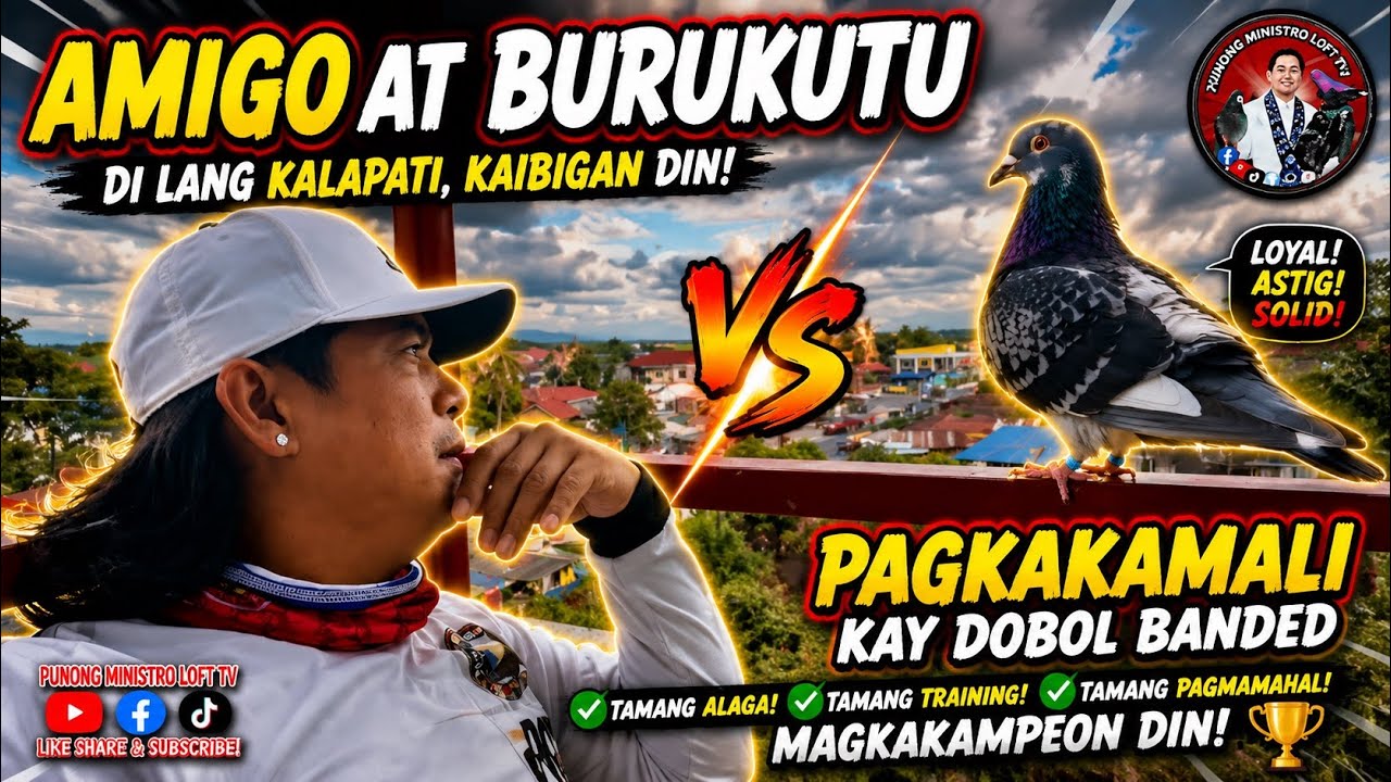 EP1215 NABIGLA SI DOBOL BANDED